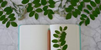 W jakim celu rejestruje się bazę danych?