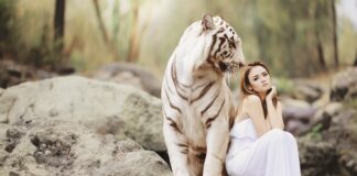 Jaka jest możliwa ochrona prawna oprogramowania komputerowego?