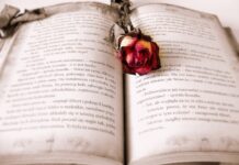 Jak powinien wyglądać rozdział badawczy?