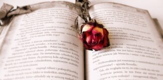 Jak powinien wyglądać rozdział badawczy?