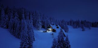 Co jest celem badań naukowych?