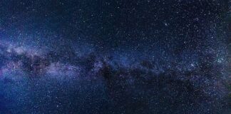 Jakie są cechy systemu baz danych?