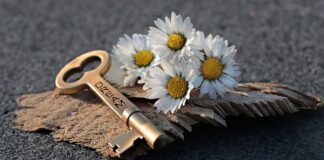 Jak otworzyć bazę danych SQL? Jak otworzyć bazę danych SQL?