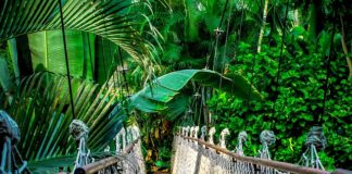 Ile kosztuje kurs Cybersecurity? Ile kosztuje kurs Cybersecurity?