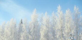 Jakie są minusy pracy zdalnej?