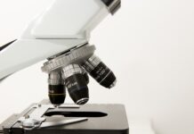 Czym się różni morfologia pełna od podstawowej?
