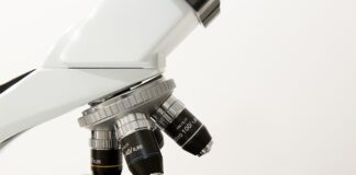 Czym się różni morfologia pełna od podstawowej?