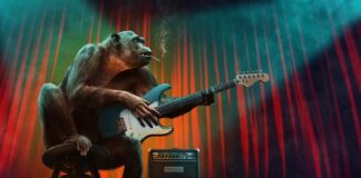 Jakie są kolejne etapy badań naukowych? Jakie są kolejne etapy badań naukowych?