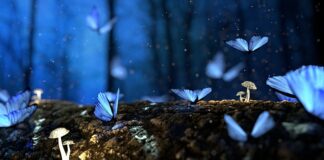 Co to jest struktura sprzedaży? Co to jest struktura sprzedaży?