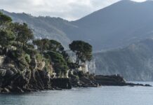 Ile kosztuje zakup bazy danych? Ile kosztuje zakup bazy danych?