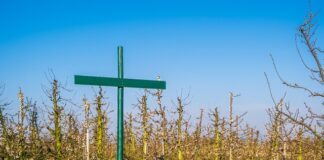 Czy regulamin pracy zdalnej w szkole jest obowiązkowy?