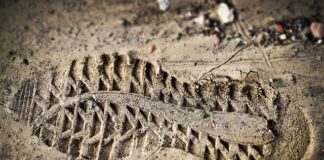 Czym jest ocena efektywności inwestycji? Czym jest ocena efektywności inwestycji?