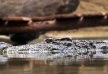 Jakie są podstawowe zasady bezpieczeństwa?