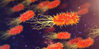 Jak zbadać cały organizm? Jak zbadać cały organizm?