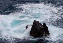 Co trzeba zrobić po formacie komputera? Co trzeba zrobić po formacie komputera?