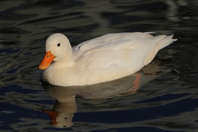 Co w sobie lubisz? Co w sobie lubisz?