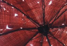 Po co się ubezpieczać?