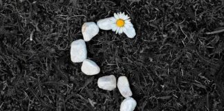 Co to jest SIWZ i co zawiera? Co to jest SIWZ i co zawiera?