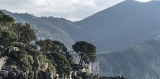 Ile kosztuje AC na rok?