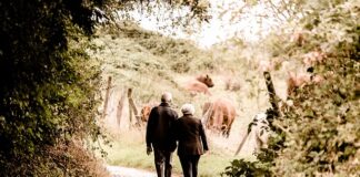 Gdzie pracować na emeryturze?