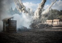 Jakie czynniki determinują wizerunek Wojska Polskiego?