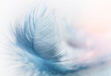 Jaka jest platforma sprzętowa Excela? Jaka jest platforma sprzętowa Excela?