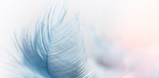 Jaka jest platforma sprzętowa Excela?