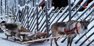 Ile slajdów na 5 minut?