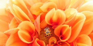 Jak efektywnie pracować w zespole?