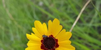 Jak unieważnić umowę?