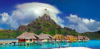 Czy należy się urlop na umowę zlecenie? Czy należy się urlop na umowę zlecenie?