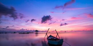 Jaki kolor oczu najlepiej widzi w ciemności? Jaki kolor oczu najlepiej widzi w ciemności?