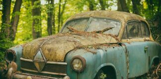 Co na pamięć i koncentrację dla seniora?