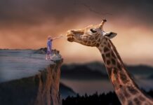 Czym karmi się mózg?