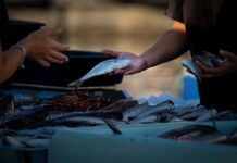 Do jakiej kwoty można sprzedawać? Do jakiej kwoty można sprzedawać?