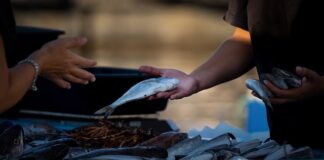 Do jakiej kwoty można sprzedawać? Do jakiej kwoty można sprzedawać?