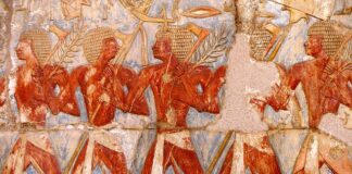 Jakie są ulgi dla emerytów? Jakie są ulgi dla emerytów?