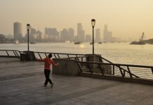 Czy szare komórki się Odnawiają po alkoholu?