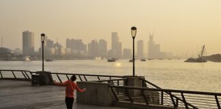 Czy szare komórki się Odnawiają po alkoholu? Czy szare komórki się Odnawiają po alkoholu?